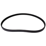 Order CONTINENTAL - 4040352 - Serpentine Belt - Automotive V-Belt For Your Vehicle