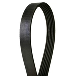 Order CONTINENTAL - 4040465 -  Courroie Serpentine - Automotive V-Belt For Your Vehicle