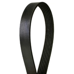 Order CONTINENTAL - 4040620 - Serpentine Belt - Automotive V-Belt For Your Vehicle