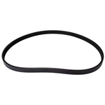 Order CONTINENTAL - 4040880 - Serpentine Belt - Automotive V-Belt For Your Vehicle