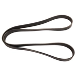 Order CONTINENTAL - 4050630 - Serpentine Belt - Automotive V-Belt For Your Vehicle