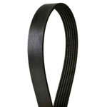 Order CONTINENTAL - 4060475 - Serpentine Belt - Automotive V-Belt For Your Vehicle