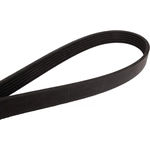 Order CONTINENTAL - 4060503F - Serpentine Belt - Automotive V-Belt For Your Vehicle