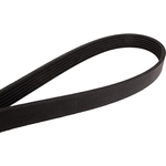 Order CONTINENTAL - 4060522 - Serpentine Belt by - Automotive V-Belt For Your Vehicle