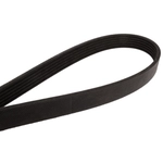 Order CONTINENTAL - 4060540 - Courroie Serpentine - Automotive V-Belt For Your Vehicle