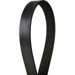 Order CONTINENTAL - 4060770 - Courroie Serpentine - Automotive V-Belt For Your Vehicle