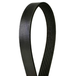 Order CONTINENTAL - 4060865 - Courroie Serpentine - Automotive V- Belt For Your Vehicle