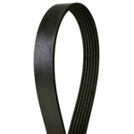 Order CONTINENTAL - 4060887 - Courroie Serpentine - Automotive V-Belt For Your Vehicle