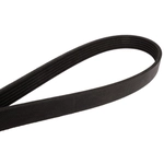 Order CONTINENTAL - 4061090 - Serpentine Belt -  Automotive V-Belt For Your Vehicle