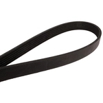 Order CONTINENTAL - 4061197F - Serpentine Belt - Automotive V-Belt For Your Vehicle