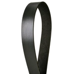 Order CONTINENTAL - 4080547 - Serpentine Belt - Automotive V-Belt For Your Vehicle