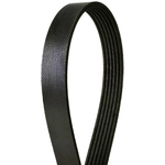 Order CONTINENTAL - 415K6MK - Mileage Maker Serpentine Belt For Your Vehicle