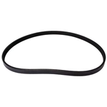 Order CONTINENTAL - 4PK920 - Courroie Serpentine - Automotive V-Belt For Your Vehicle