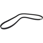 Order CONTINENTAL - 5PK1295 - Serpentine belt For Your Vehicle