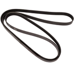 Order CONTINENTAL - 6PK1180 - Serpentine Belt For Your Vehicle