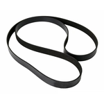 Order CONTINENTAL - 7PK1125 - Serpentine Belt For Your Vehicle