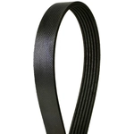 Order CONTINENTAL - 872K6MK - Mileage Maker Multi V-Belt For Your Vehicle