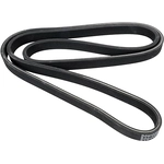 Order CONTINENTAL - D4070536 - Serpentine Belt - Automotive V-Belt For Your Vehicle