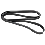 Order CONTINENTAL - D4081403 - Serpentine Belt - Automotive V-Belt For Your Vehicle