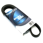 Order DAYCO - 3PK794EE - Courroie Serpentine For Your Vehicle