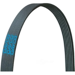 Order DAYCO - 5050365 - Serpentine Belt For Your Vehicle