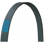 Order DAYCO - 5050400 - Serpentine Belt For Your Vehicle