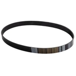 Order DAYCO - 5080418 - Belt For Your Vehicle