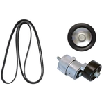 Order CONTINENTAL - K49428 - Accessory Drive Belt Kit For Your Vehicle