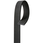 Order GATES - DK070536 - Serpentine Belt For Your Vehicle