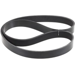 Order INA - FB7K443 - Serpentine Belt For Your Vehicle