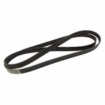 Order Serpentine Belt by MOTORCRAFT - JK6-835G For Your Vehicle