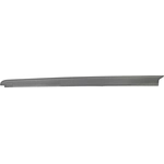 Order DORMAN - 926-941 - Truck Bed Side Rail Protector For Your Vehicle