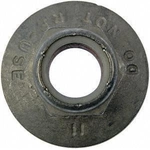 Order Spindle Nut by DORMAN/AUTOGRADE - 615-170.1 For Your Vehicle