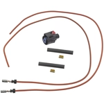 Order BLUE STREAK (HYGRADE MOTOR) - S2984 - Door Lock Actuator Connector For Your Vehicle