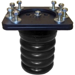 Order Ressorts Sumo-Springs by SUPERSPRINGS - SSR-307-47 For Your Vehicle