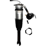 Order FCS AUTOMOTIVE - 99009 - Air Suspension Strut For Your Vehicle