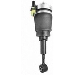 Order Suspension Air Strut by UNITY AUTOMOTIVE - 18160000 For Your Vehicle