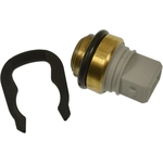 Order BLUE STREAK (HYGRADE MOTOR) - TS742 - Cold Start Valve Temperature Switch For Your Vehicle