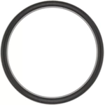 Order Thermostat Gasket by VICTOR REINZ - 71-13573-00 For Your Vehicle