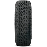 Order BFGOODRICH - 67462 - All Season 17" Tire Trail-Terrain T/A 245/70R17 114T XL For Your Vehicle