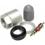 Order Tire Pressure Monitoring System Sensor Service Kit by BLUE STREAK (HYGRADE MOTOR) - TPM1110K4 For Your Vehicle