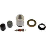 Order Tire Pressure Monitoring System Sensor Service Kit by DORMAN - 609-102.1 For Your Vehicle