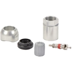 Order SCHRADER AUTOMOTIVE - 20013-25 - TPMS Sensor Service Kit For Your Vehicle