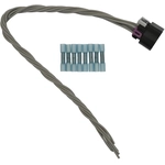 Order BWD AUTOMOTIVE - PT5887 - Ignition Coil Connecteur For Your Vehicle