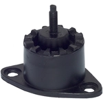 Order Transmission Mount by WESTAR INDUSTRIES - EM2956 For Your Vehicle