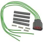 Order BWD AUTOMOTIVE - PT2009 - Ignition Connecteur de bobine For Your Vehicle