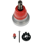 Order Upper Ball Joint by DORMAN PREMIUM - BJ81186RD For Your Vehicle