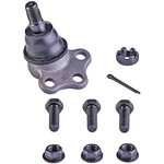 Order DORMAN PREMIUM - BJ81216XL - Upper Ball Joint For Your Vehicle