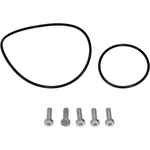 Order DORMAN (OE SOLUTIONS) - 917-146 - Vacuum Pump Seal Repair Kit For Your Vehicle