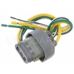 Order Connecteur du régulateur de tension by BLUE STREAK (HYGRADE MOTOR) - HP3910 For Your Vehicle